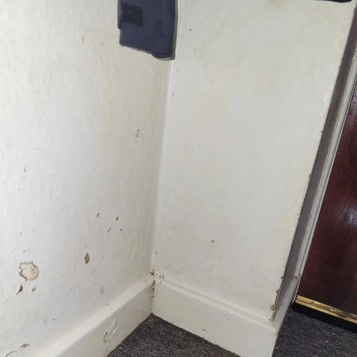 Close-up of a white wall corner with chipped paint and stains, adjacent to a dark brown door and beige carpet.