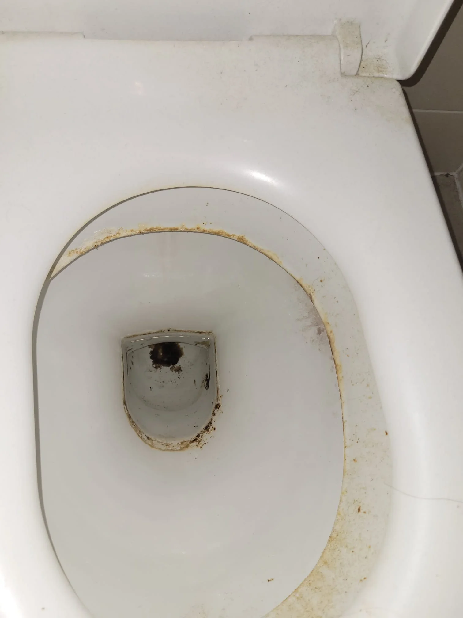 Dirty toilet bowl with brown stains and grime around the rim and inside the bowl.