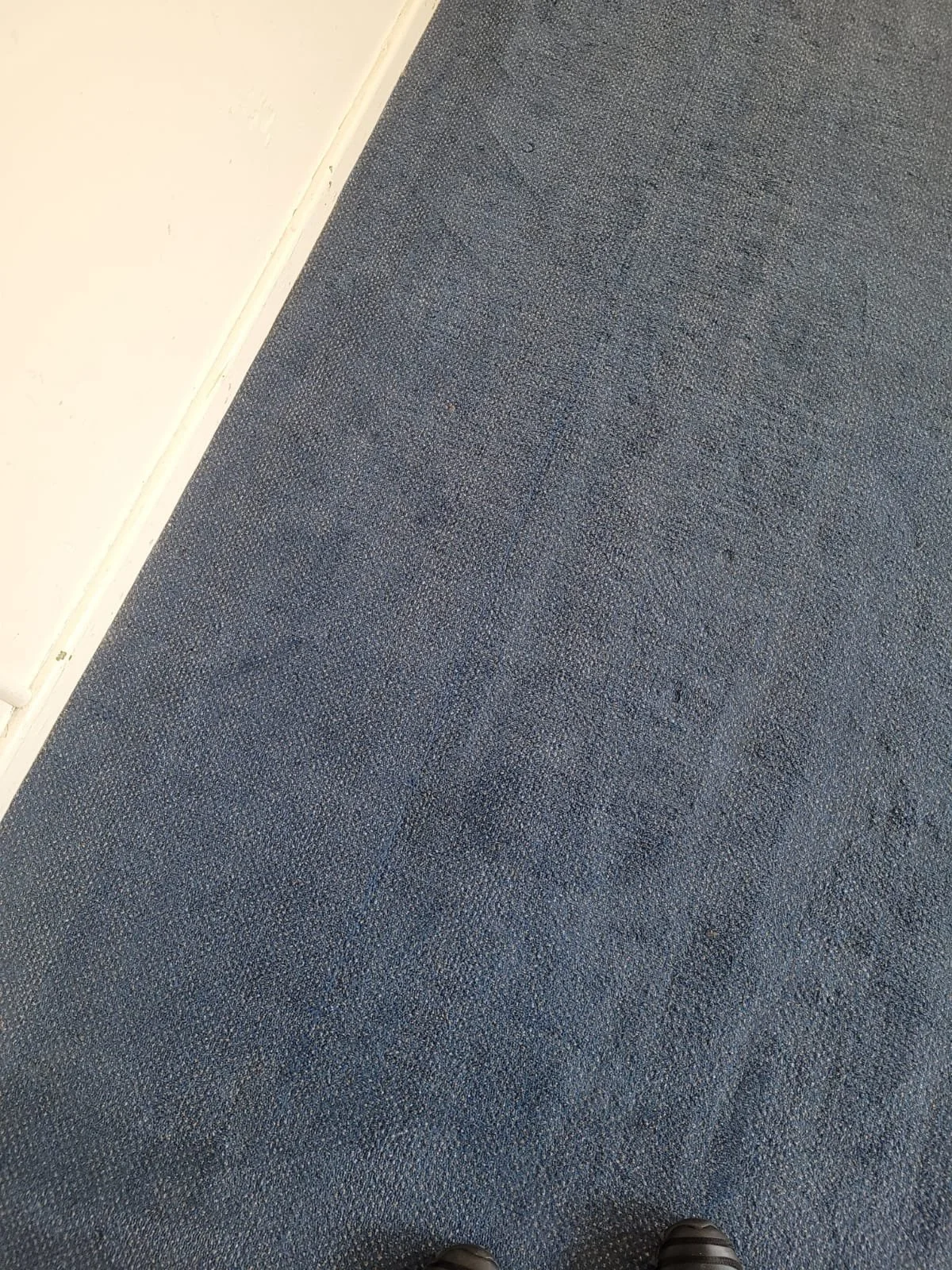 Close-up of a blue textured carpeted floor next to a white wall, with part of a person’s black shoes visible at the bottom.
