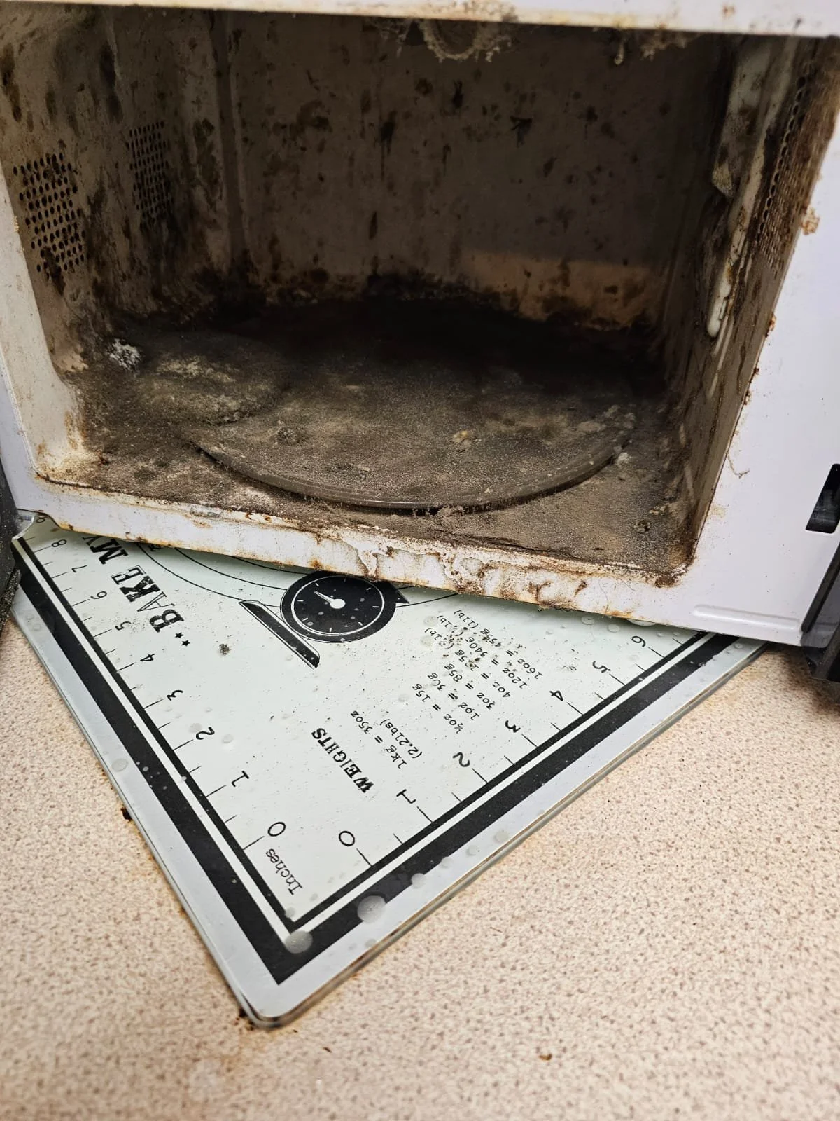 WhatsApp Image 2026-02-14 at 20.33.51.jpeg