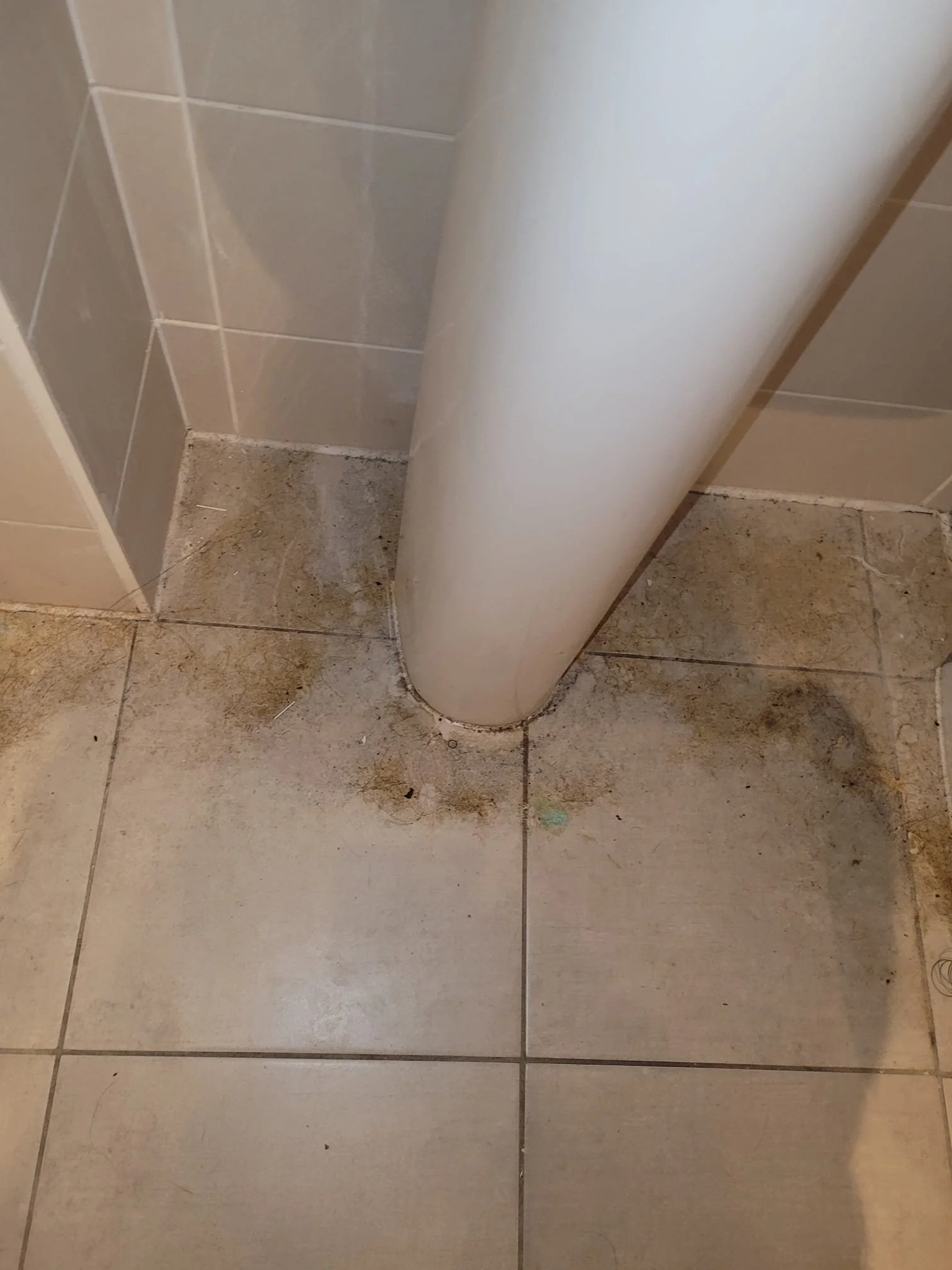 Dirty bathroom floor around a white vertical pipe with brown grime and dirt