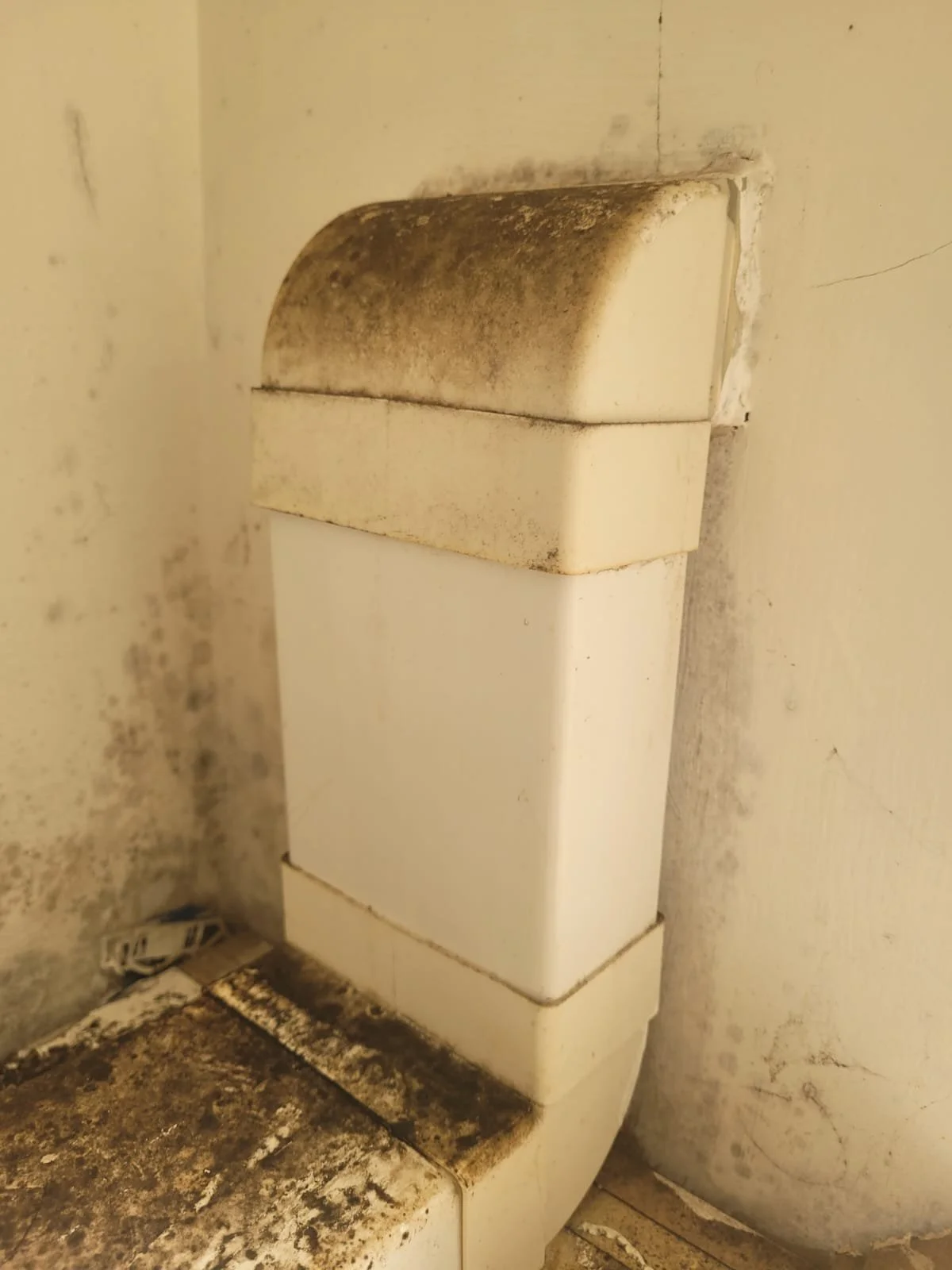 A dirty and moldy toilet with stained surfaces and mold buildup, located near a wall.