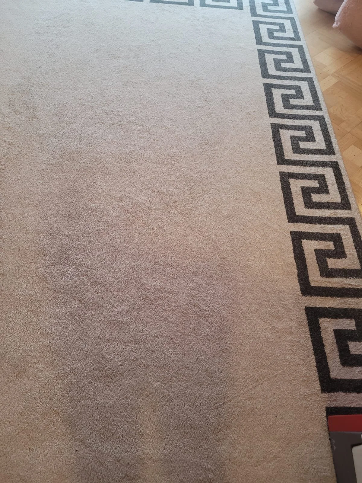 Close-up of a beige carpet with a decorative black and white border on the right side, with a small portion of a red object visible in the bottom right corner.