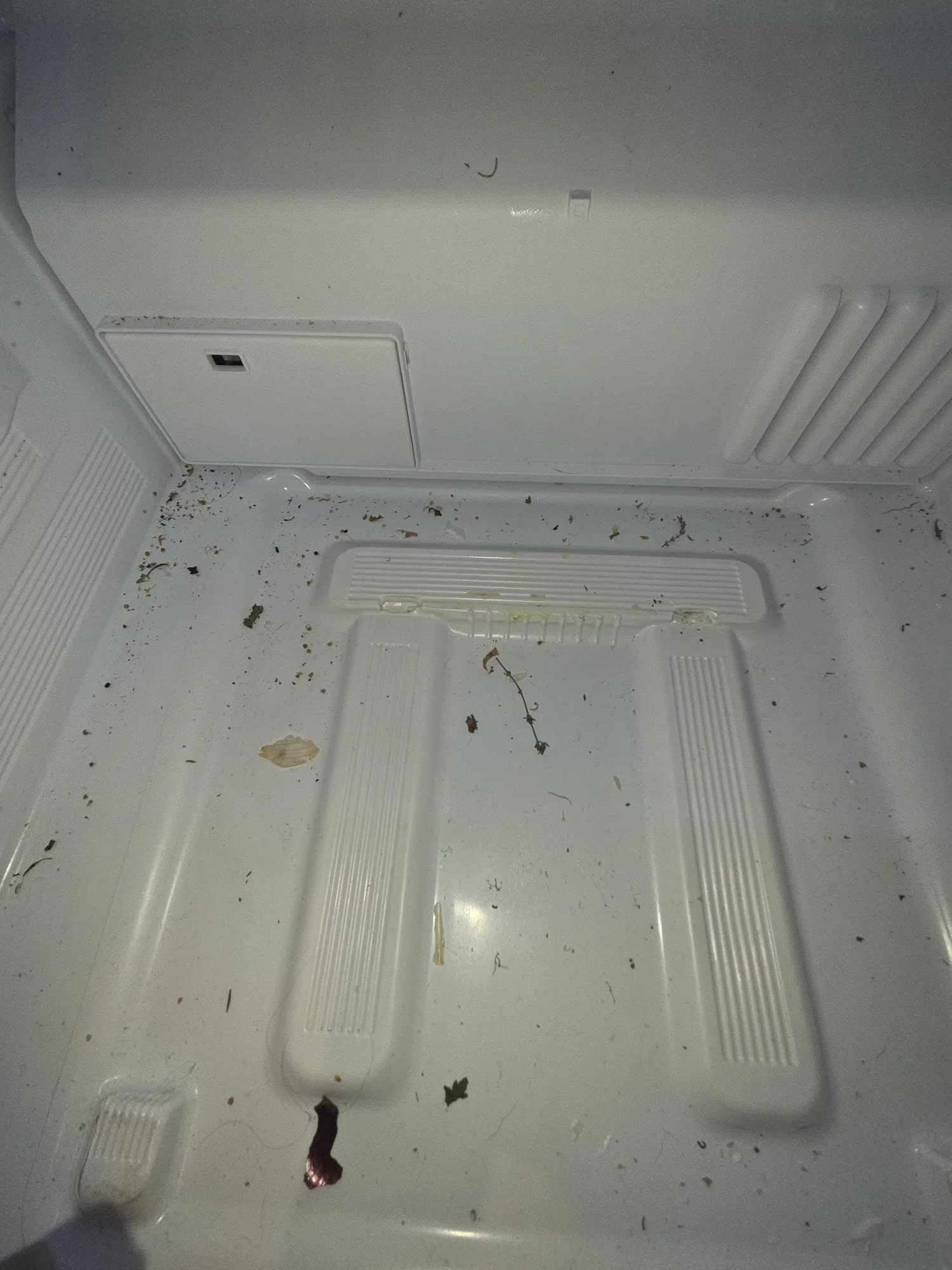 The inside of an empty refrigerator with dirt, small debris, and some food remnants scattered on the bottom shelf.