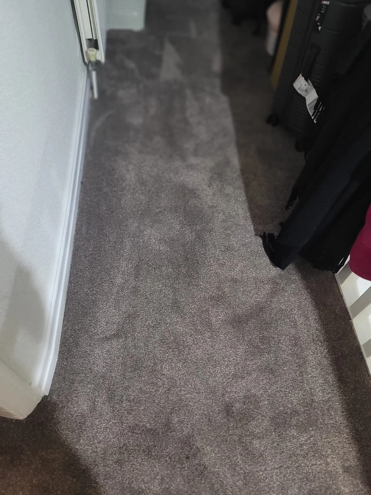 A carpeted floor in a room with shadows on it, next to a white wall, with items like clothing or bags hanging or standing along the wall.