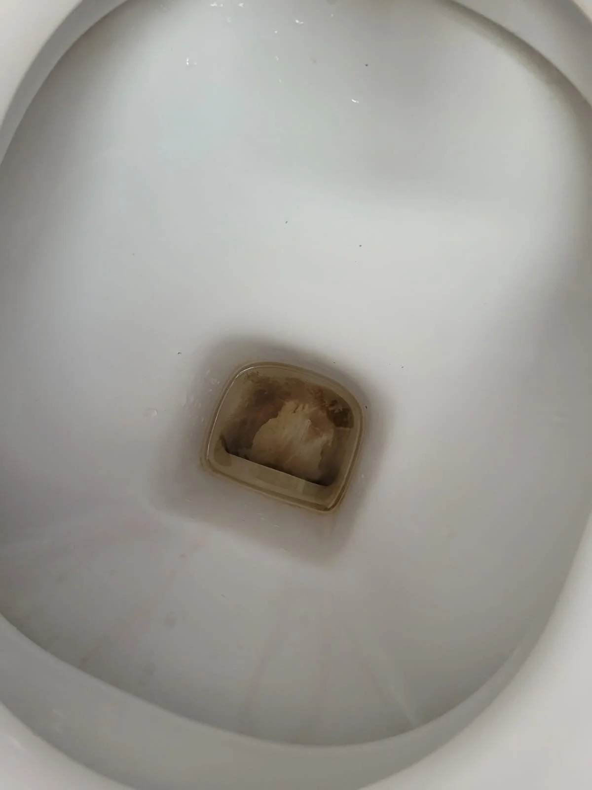 Inside of a clogged toilet bowl with brownish water and debris.