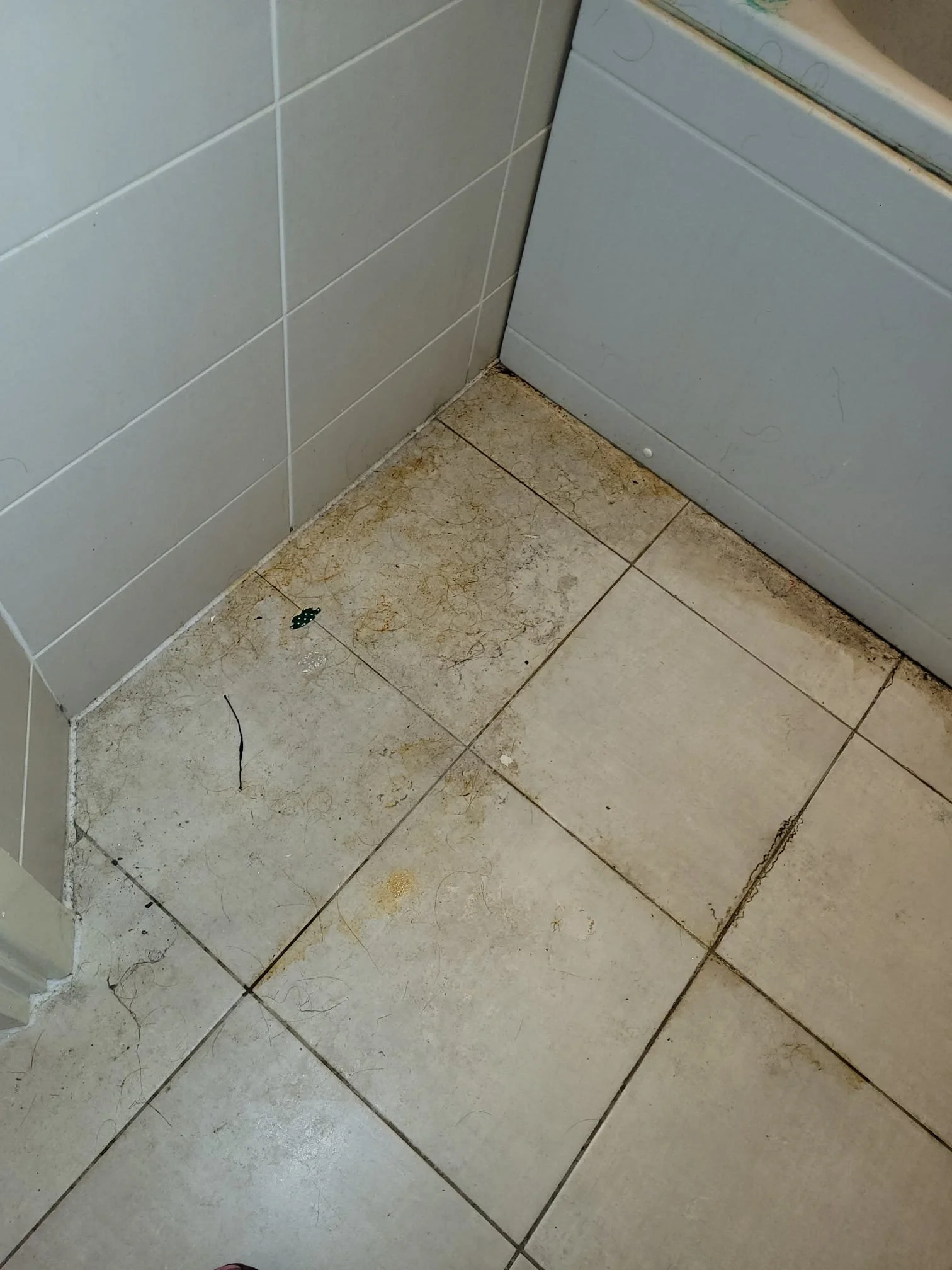Dirty bathroom floor with grime, dirt, and debris near a corner with tiled walls.