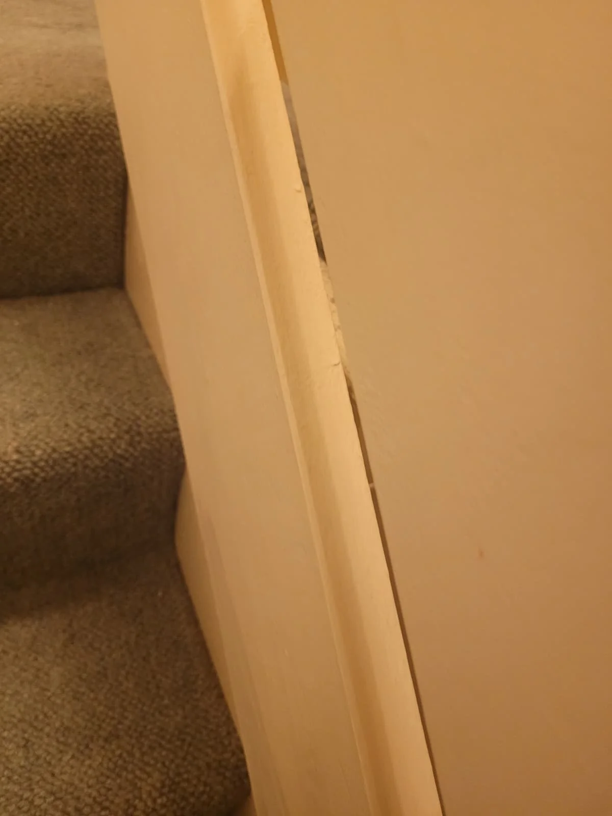 Close-up of a section of a staircase with carpeted steps on the left and a wall on the right. The wall has a visible gap or crack.