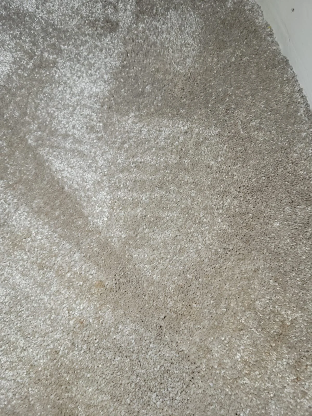 Close-up of beige carpet with some areas appearing lighter and others darker.