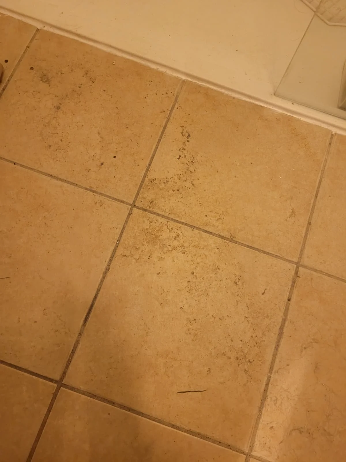Close-up of beige ceramic tiled bathroom floor with some dirt and a small black hair.