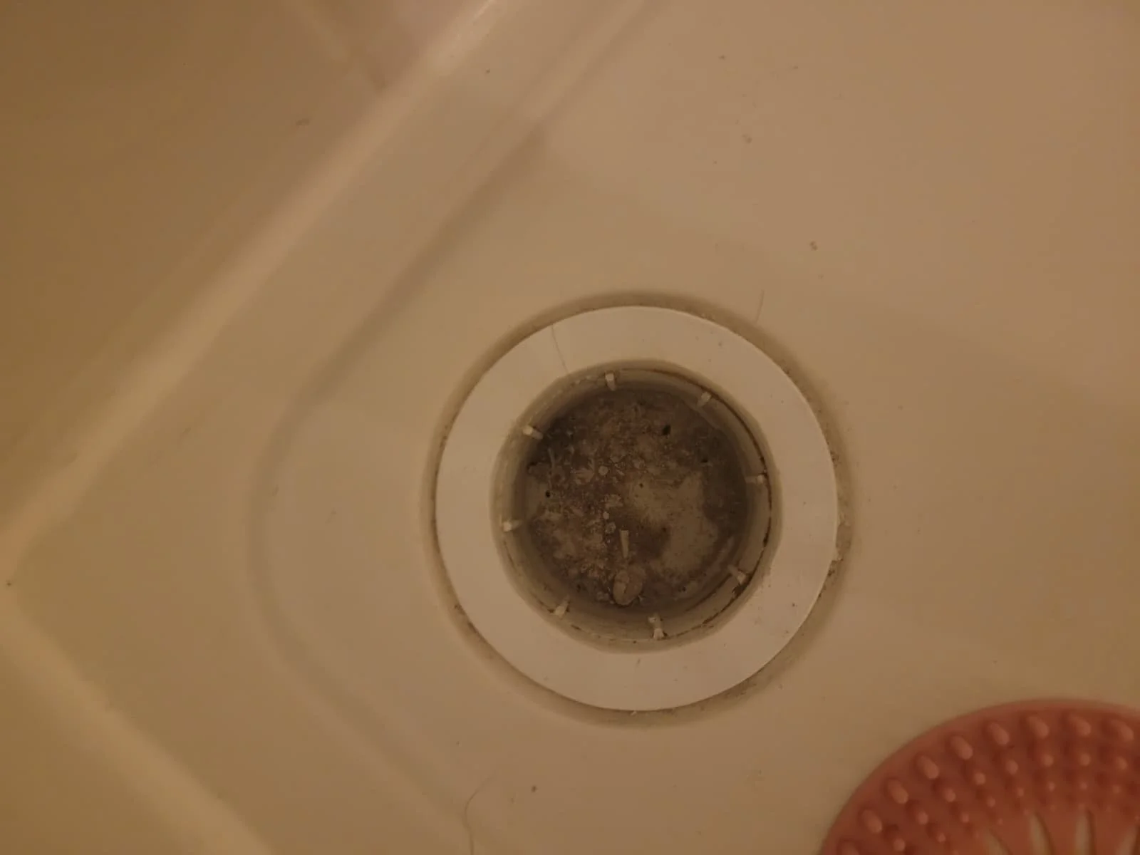 View of a clogged sink drain with dirty water and debris around the edges.