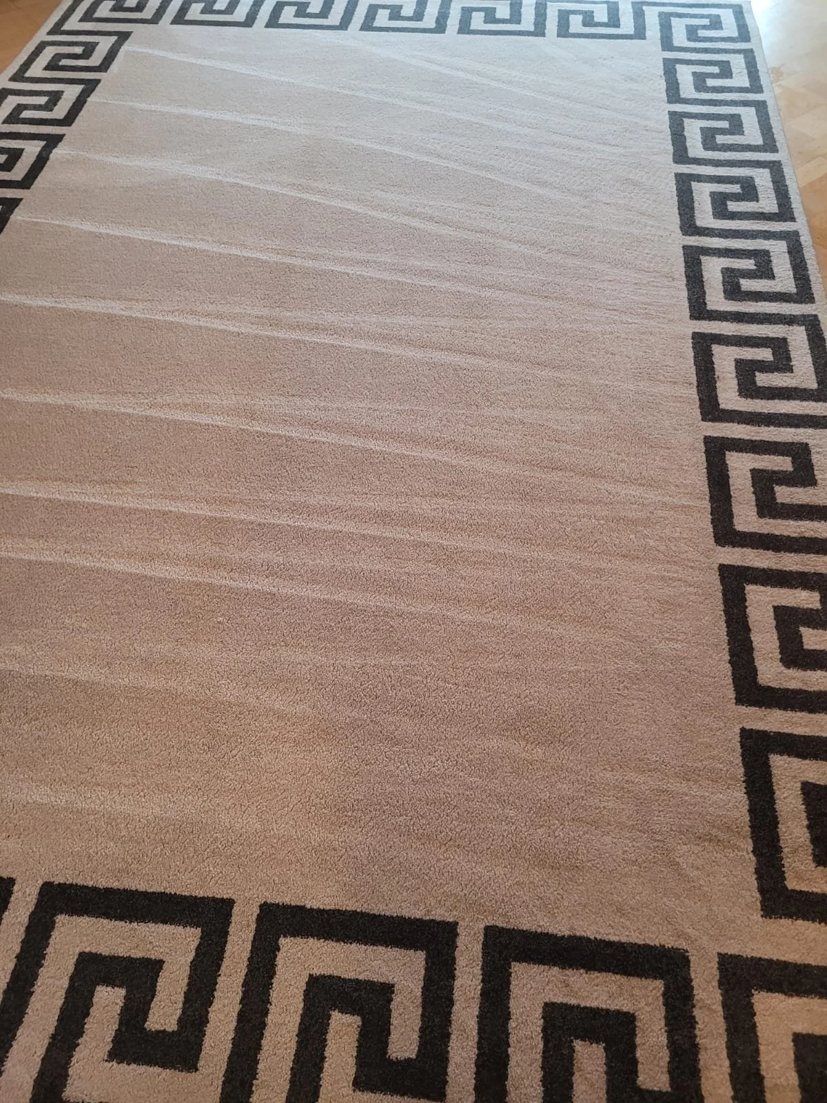 Close-up of a beige carpet with a black Greek key pattern border.
