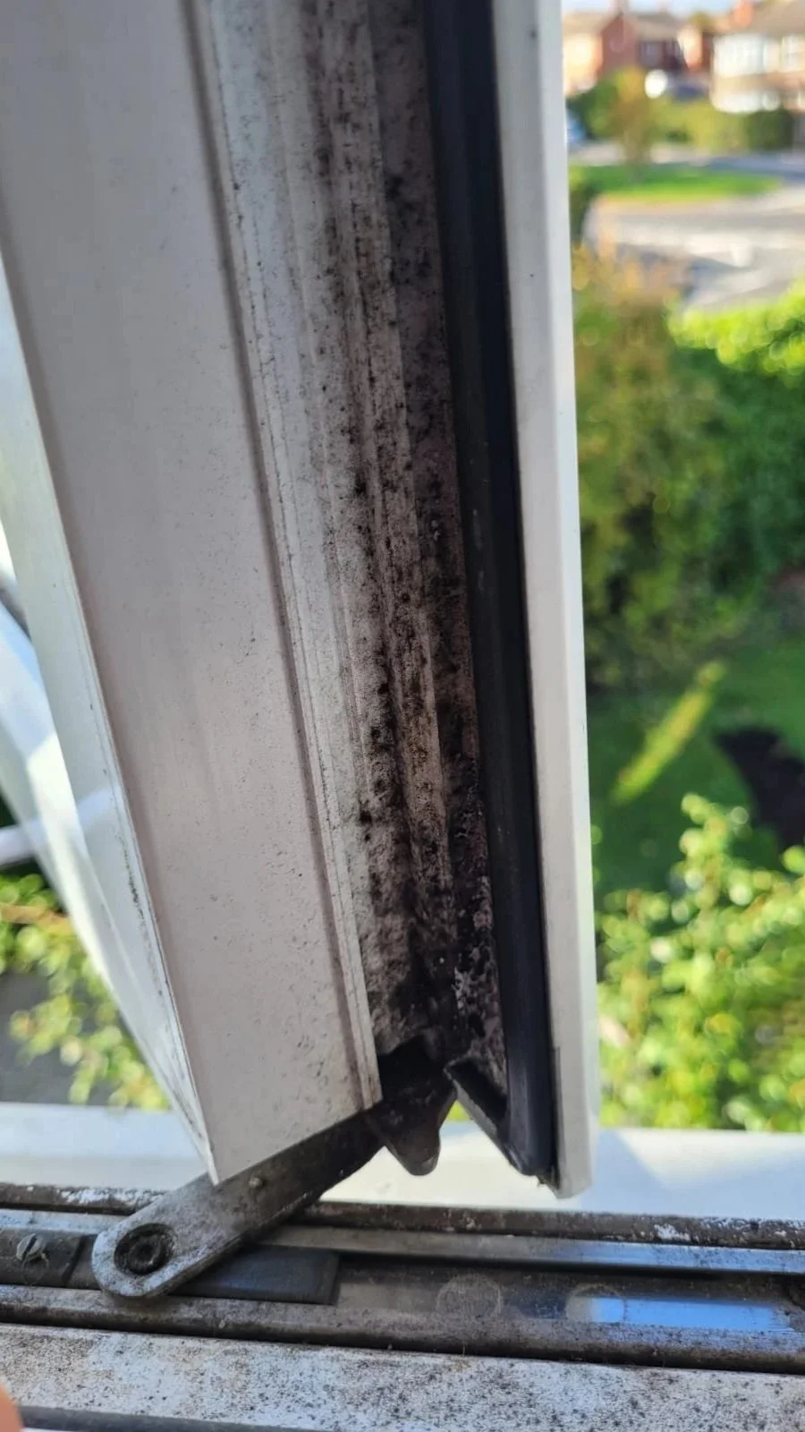 Close-up image of a window frame with dirty and moldy sills outside, with green grass and houses blurred in the background.