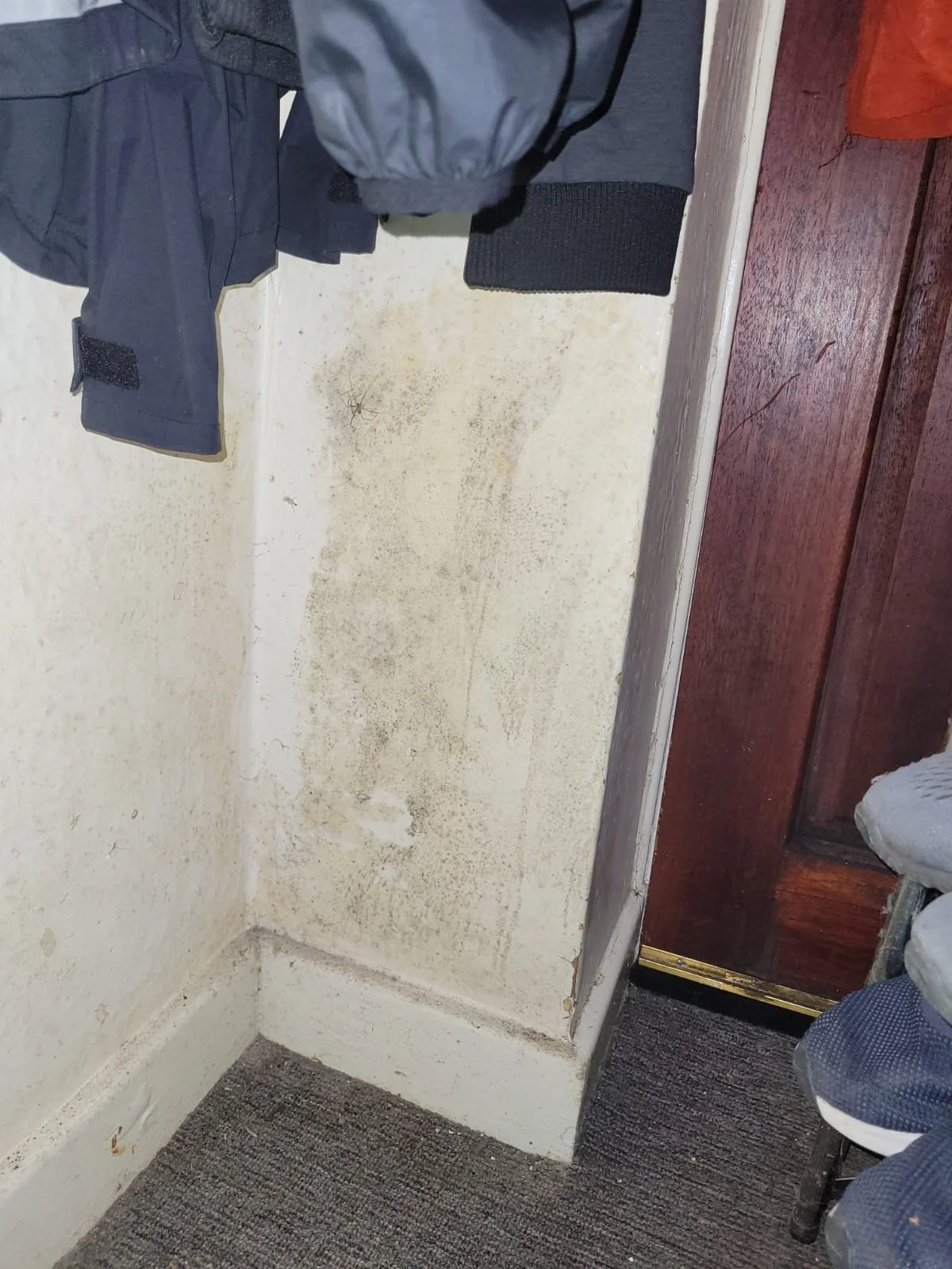 Dirty, moldy corner of a room with a white wall, black and blue clothing hanging, and a brown wooden door.
