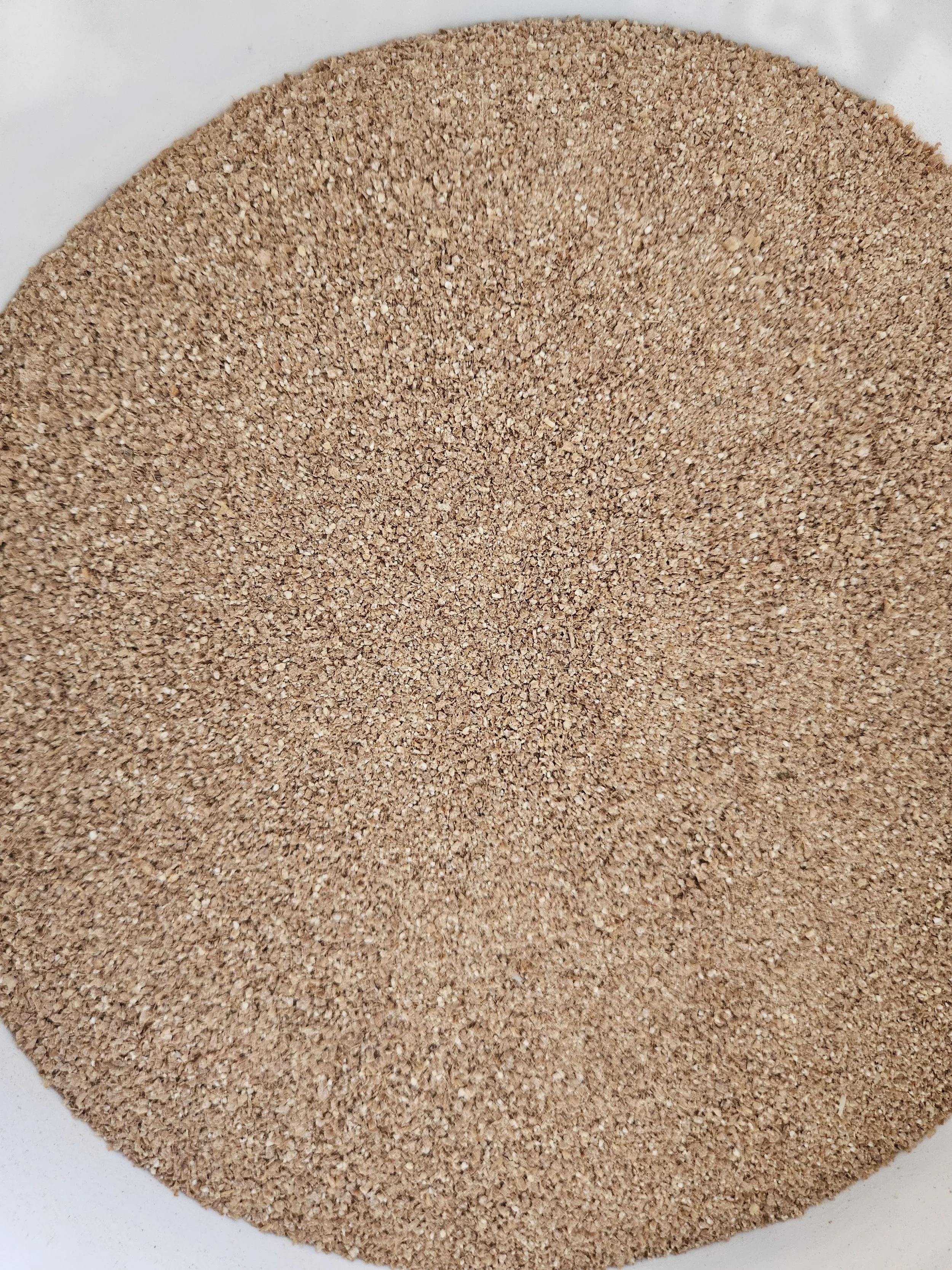 MYCOKashi Photo2.jpg