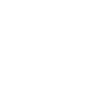 Chris Dyer Logo