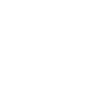 PNTHER Logo