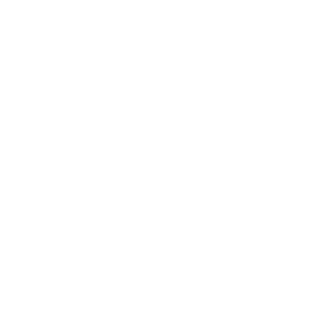 Rooster Magazine's Big Brad World Logo