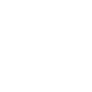 Stryer Logo
