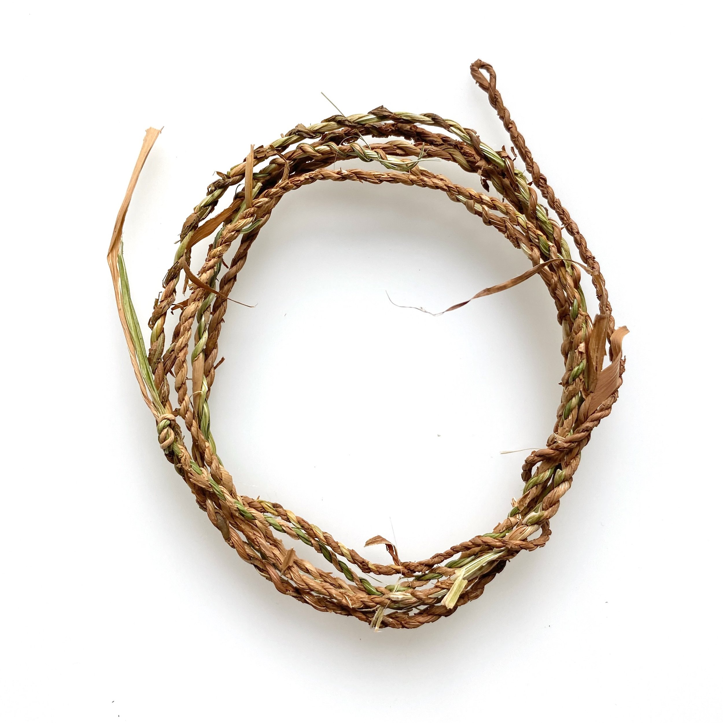 Bos gladiool bladeren.jpeg