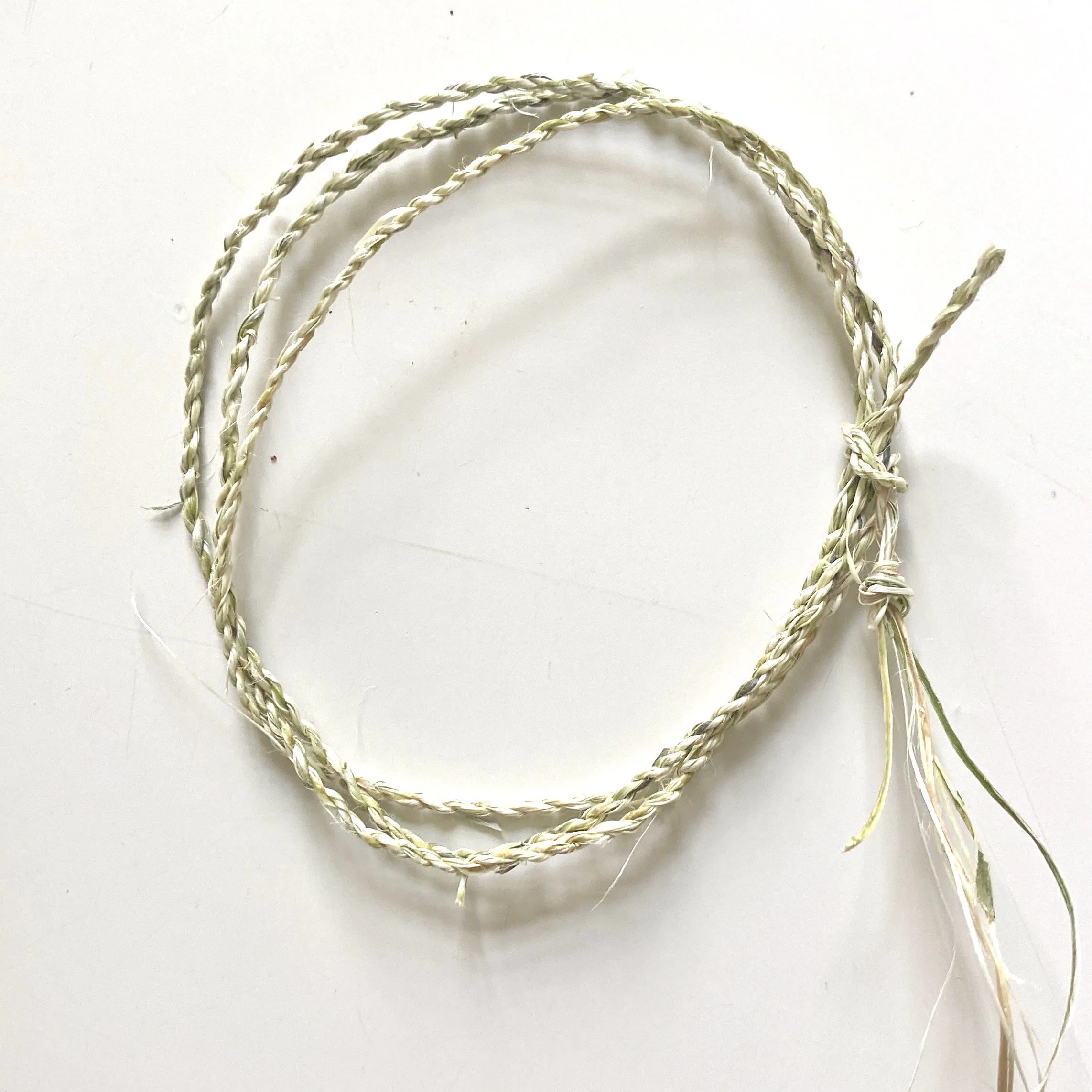 Blauwe regen bast.jpeg