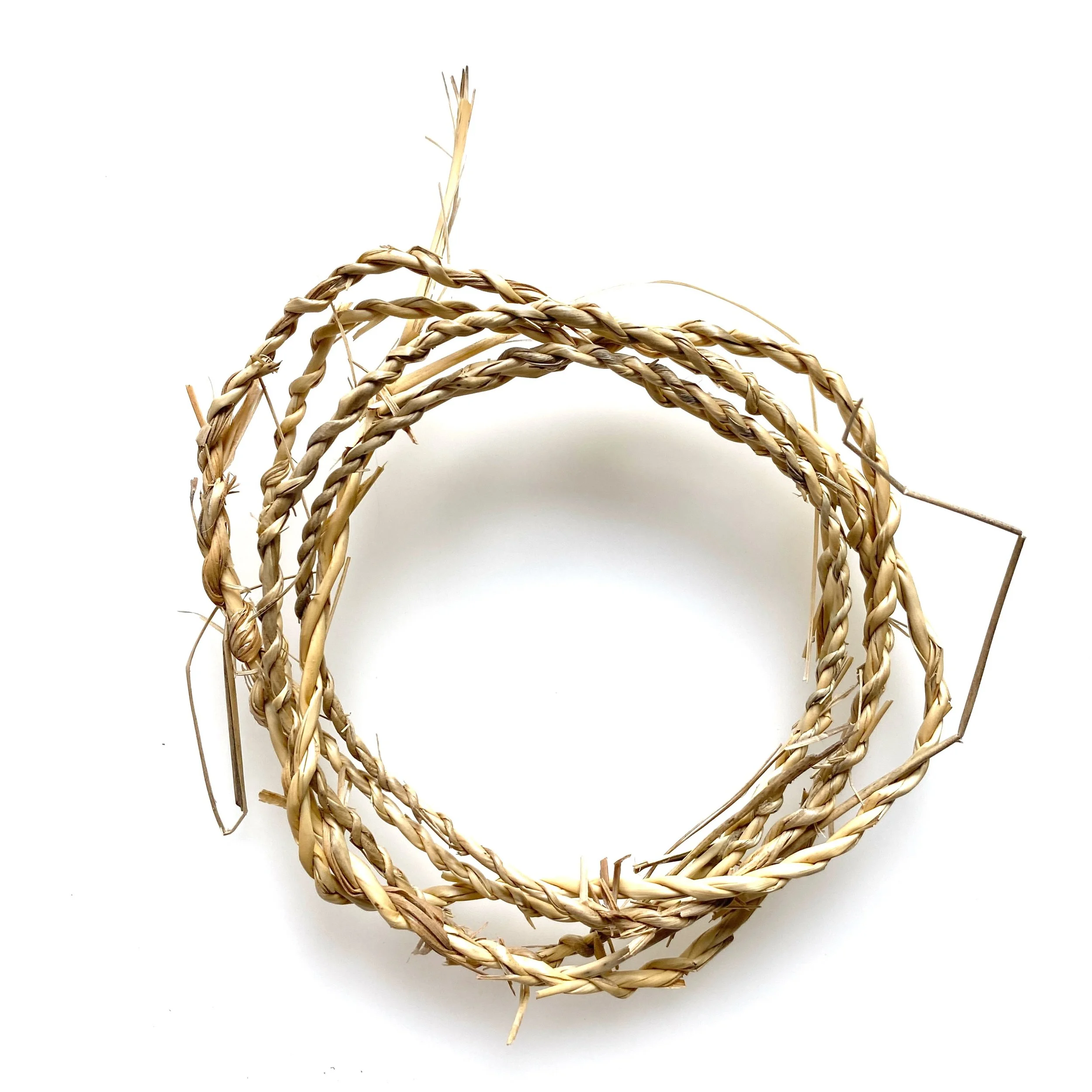 Duingras stengels.jpeg