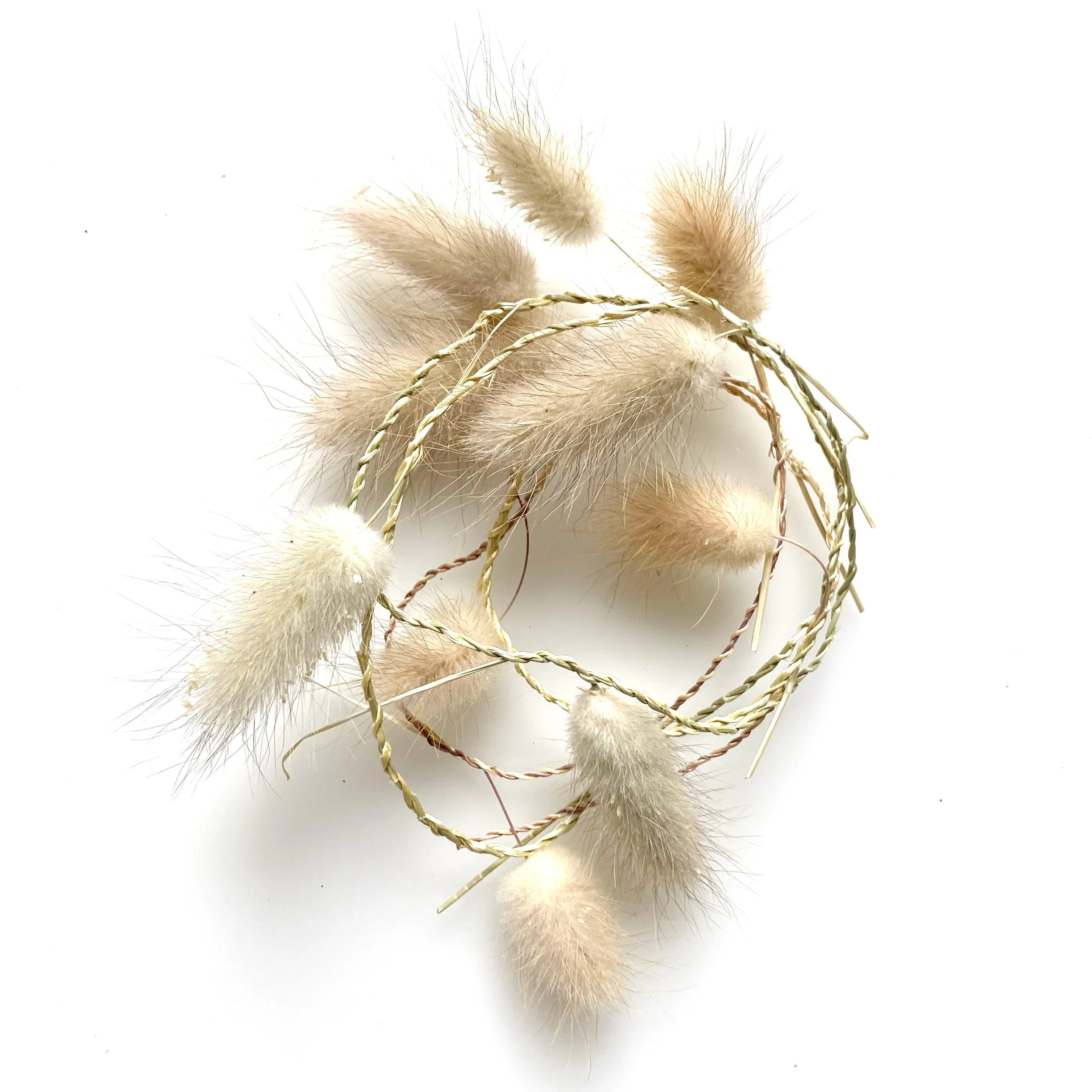 Bunny tail gras draad.jpeg