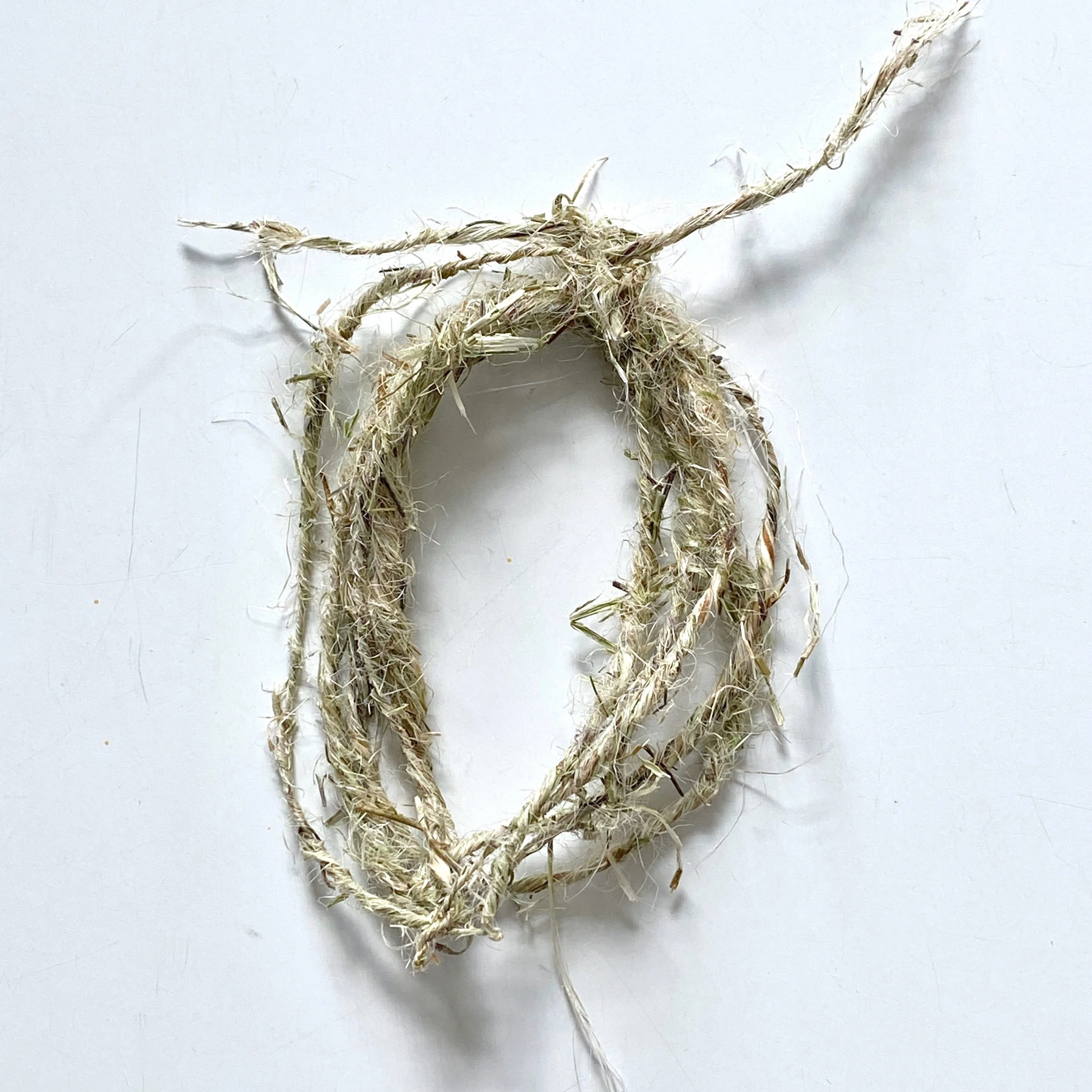 Brandnetel draad.jpeg