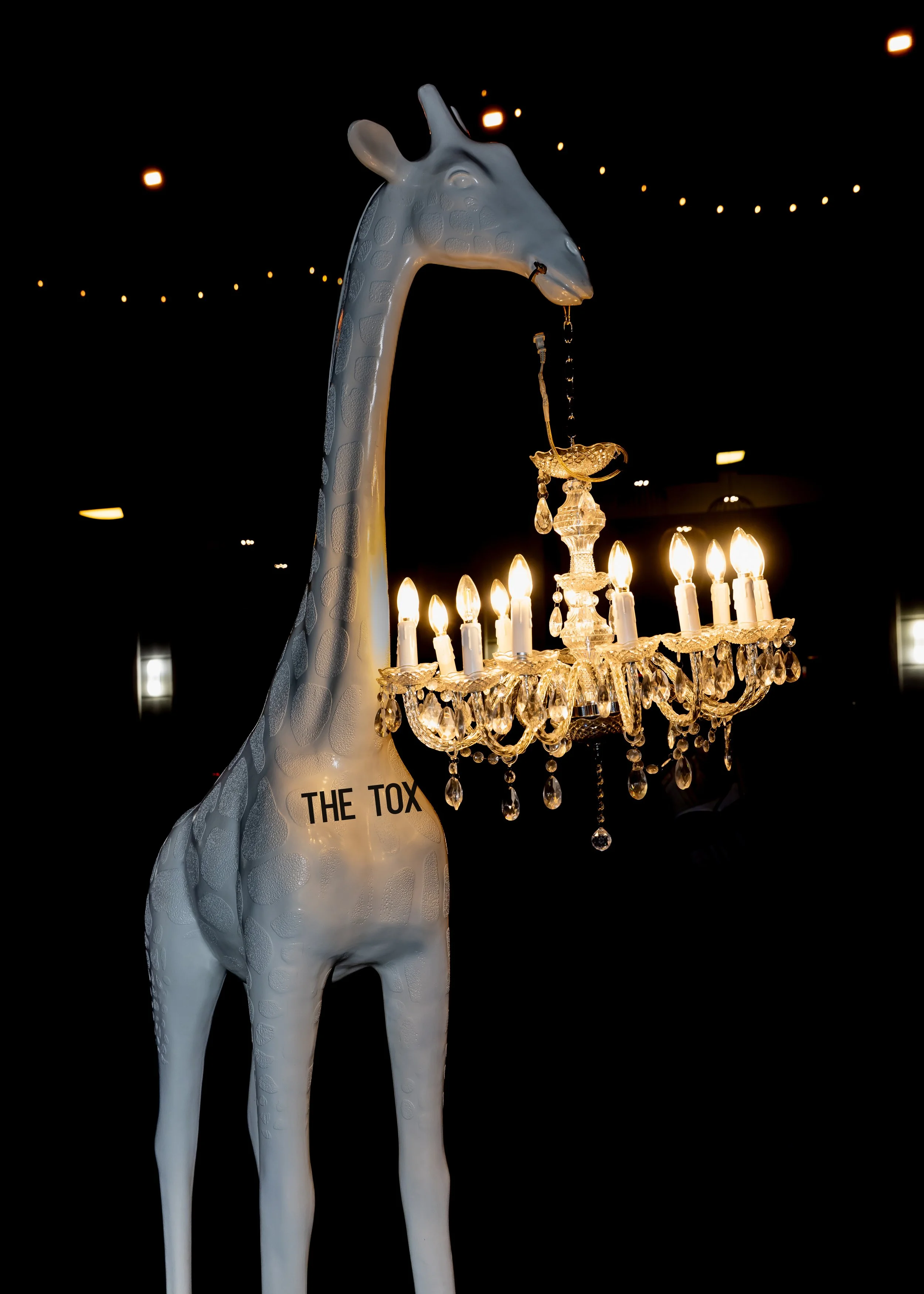 The Golden Bull Awards and Wall Street South Experience in Photos 12-2-25-289_Edit.jpg