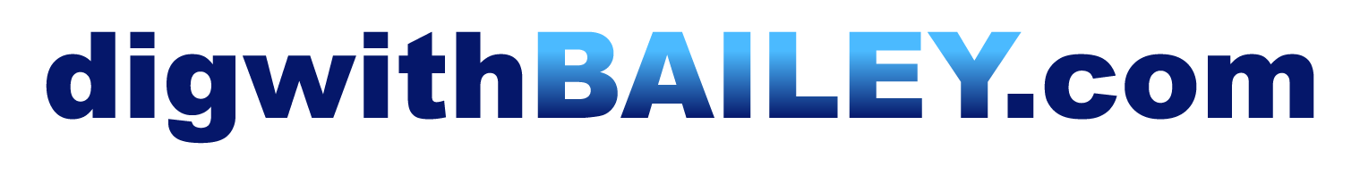 bail-website.png