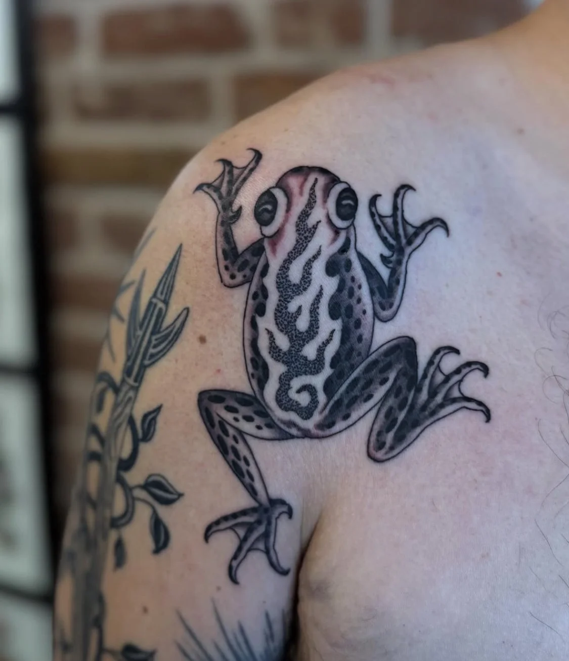 Black and gray tattoo of a frog with detailed patterns and large eyes on a person's shoulder.