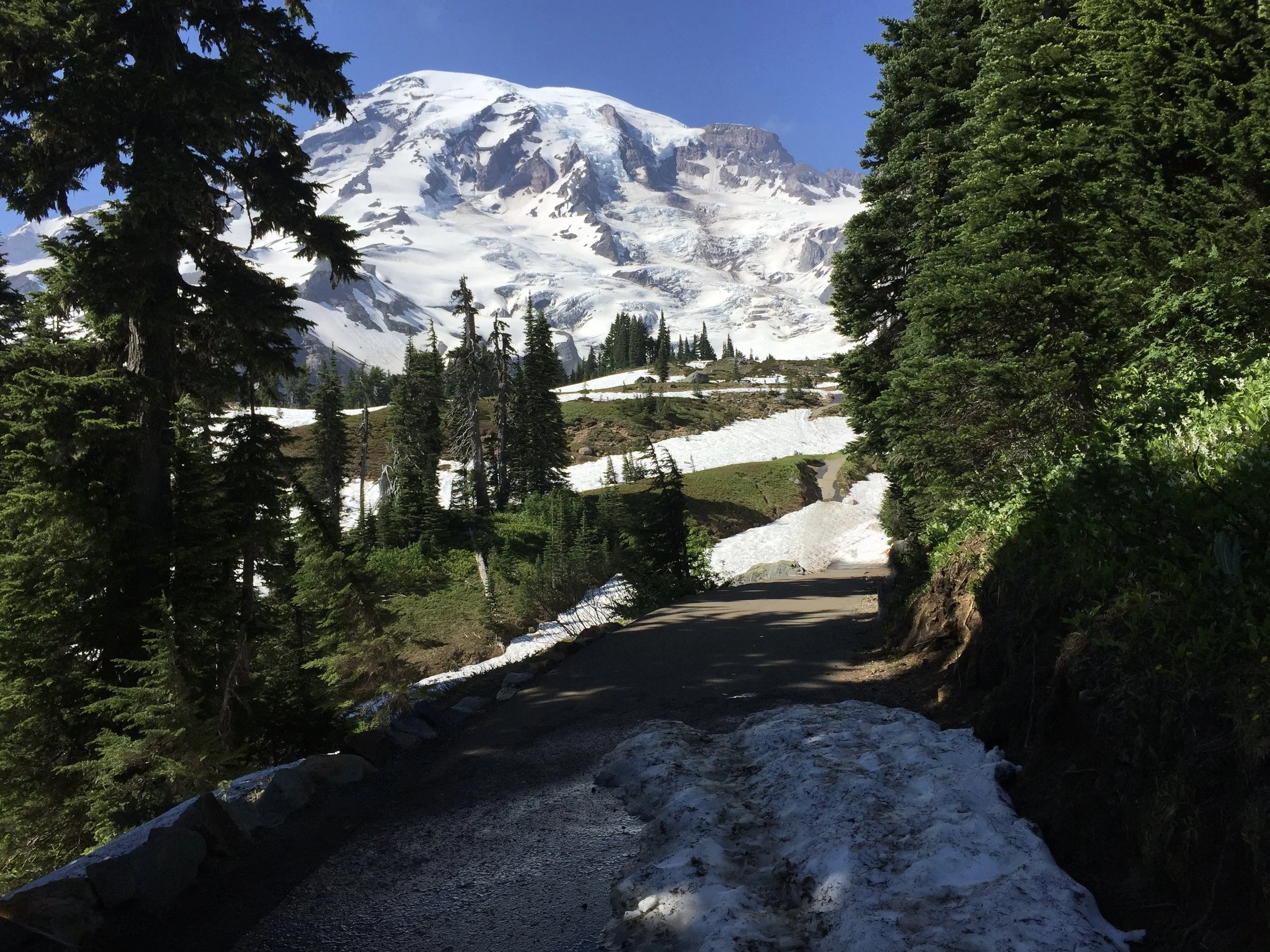 Executive Development