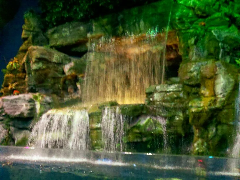 The Downfall of Motivation (#32)