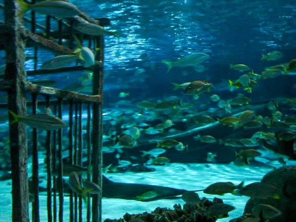 7 Tips for Internal Success (#54)