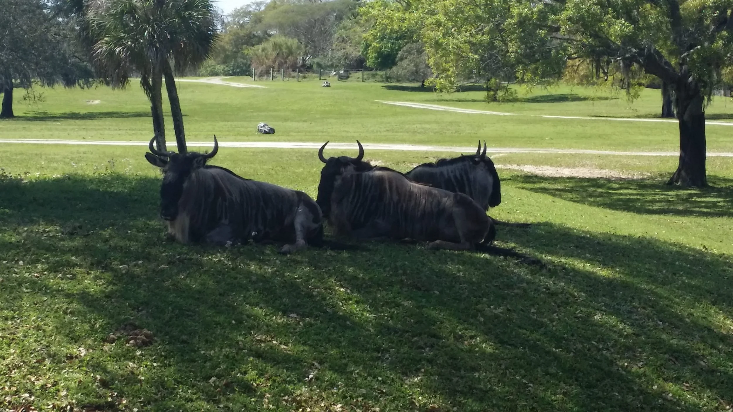 Do We Have Destructive Thought Patterns p2 (#121)