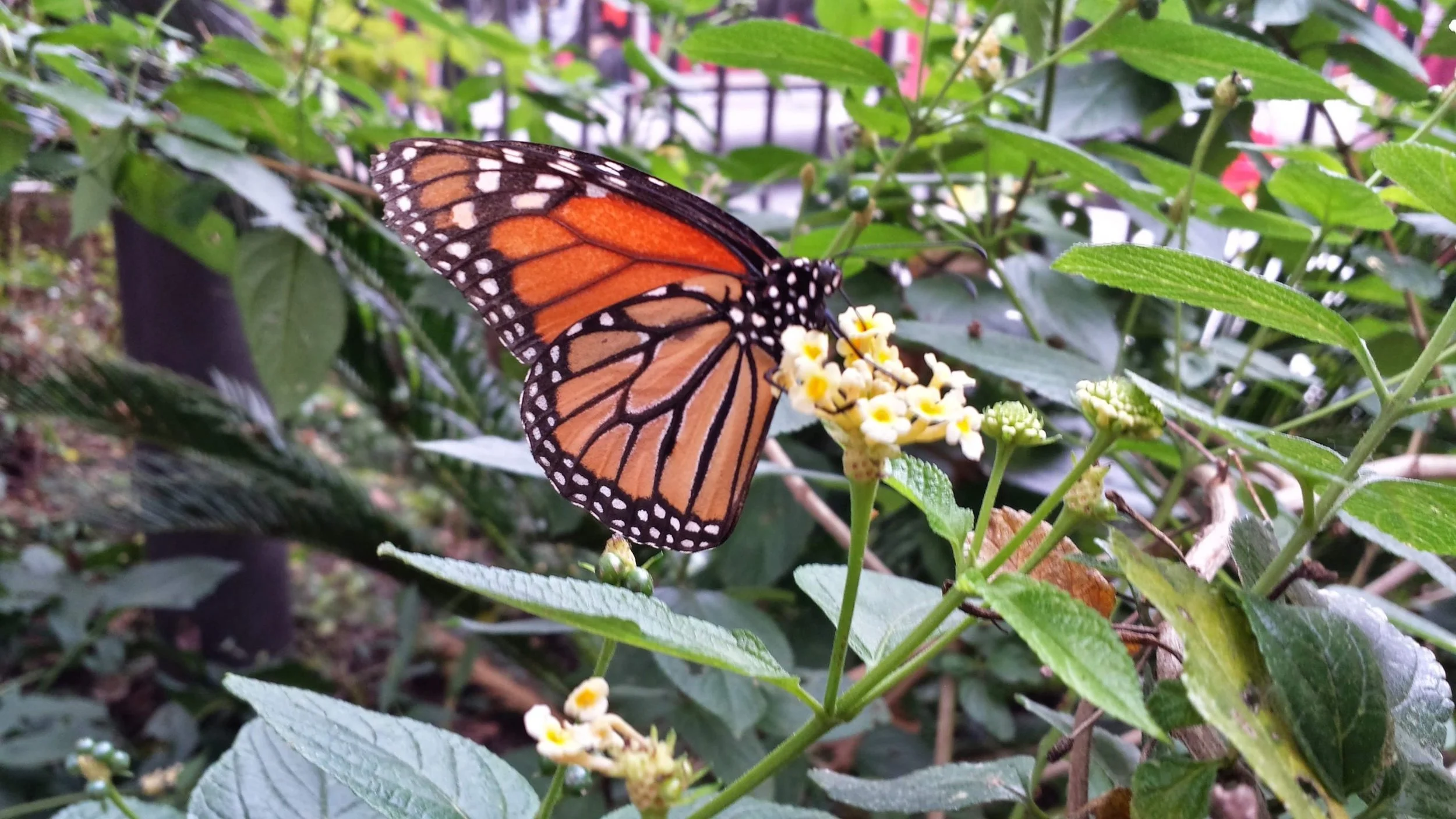 Stop, Get Up, Do IT (#126)