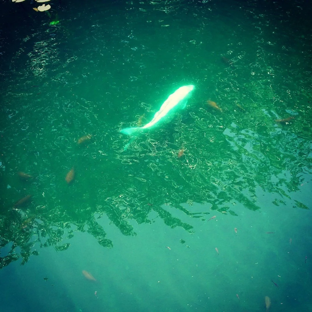 Words Freakin' Matter (#127)