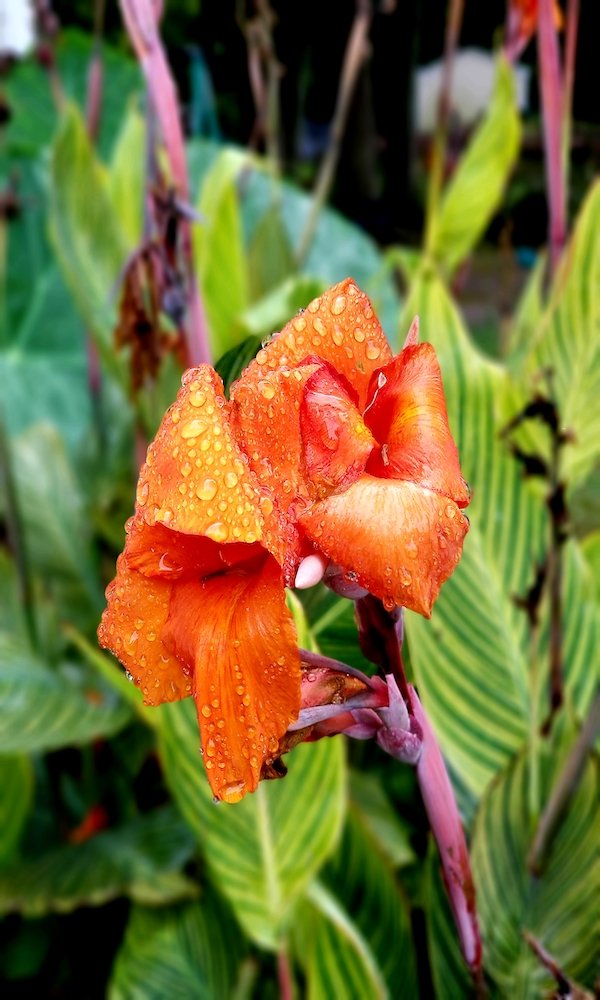 Are You On Self-Development Overload (#134)