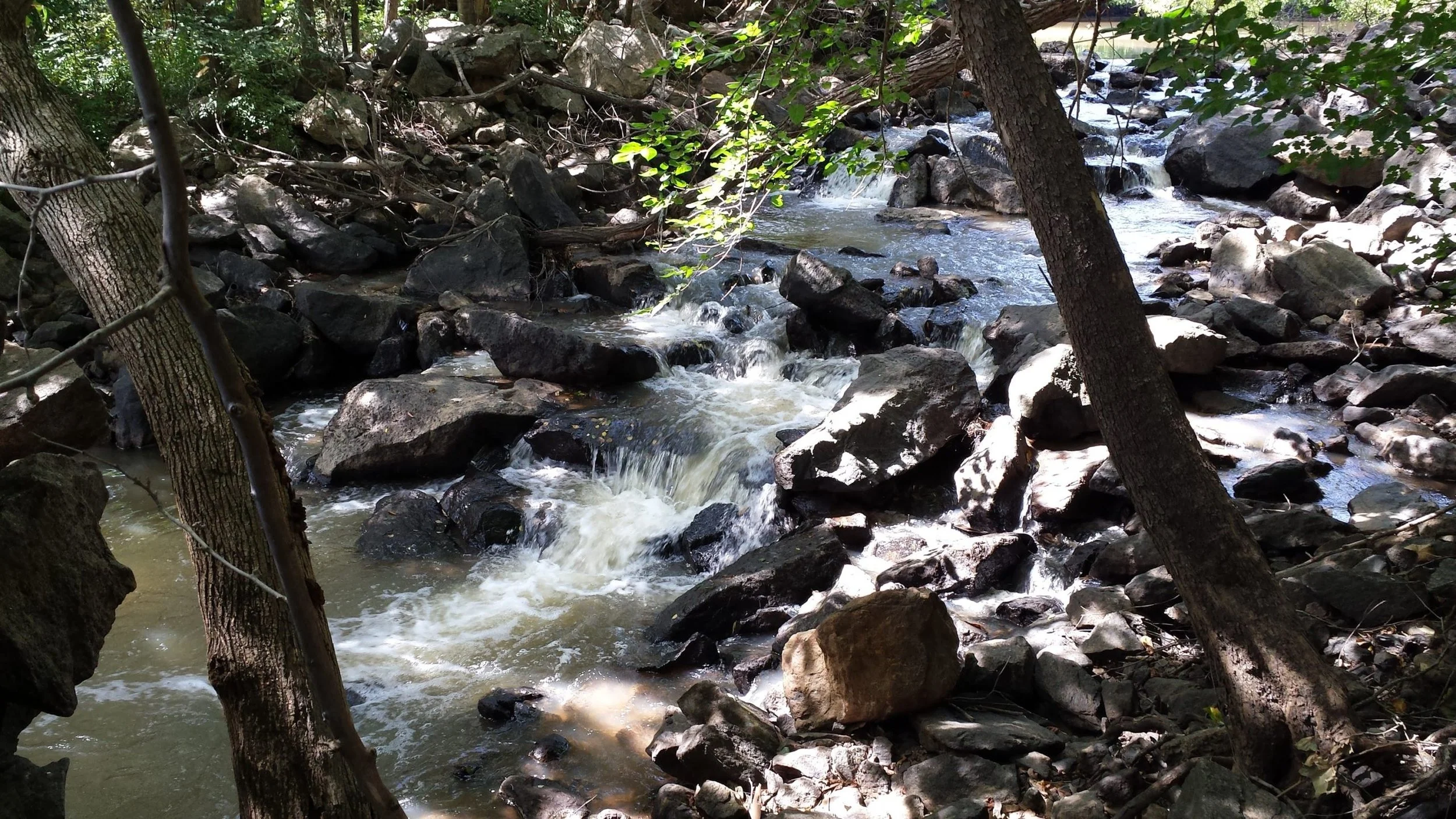 Manifesting Over Hoping (#149)