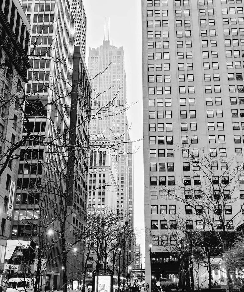 Self-Improvement Guide Part 3 (#217)