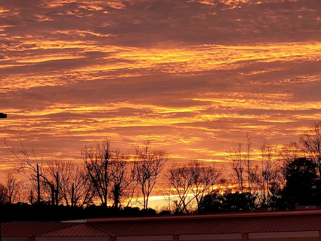 21 Thankful Quotes To Get You Inspired (#226)