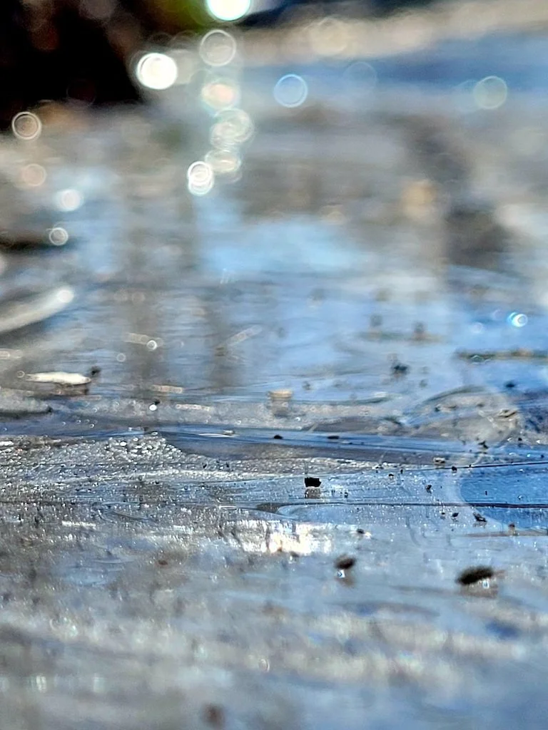 Become A Better Listener (#228)