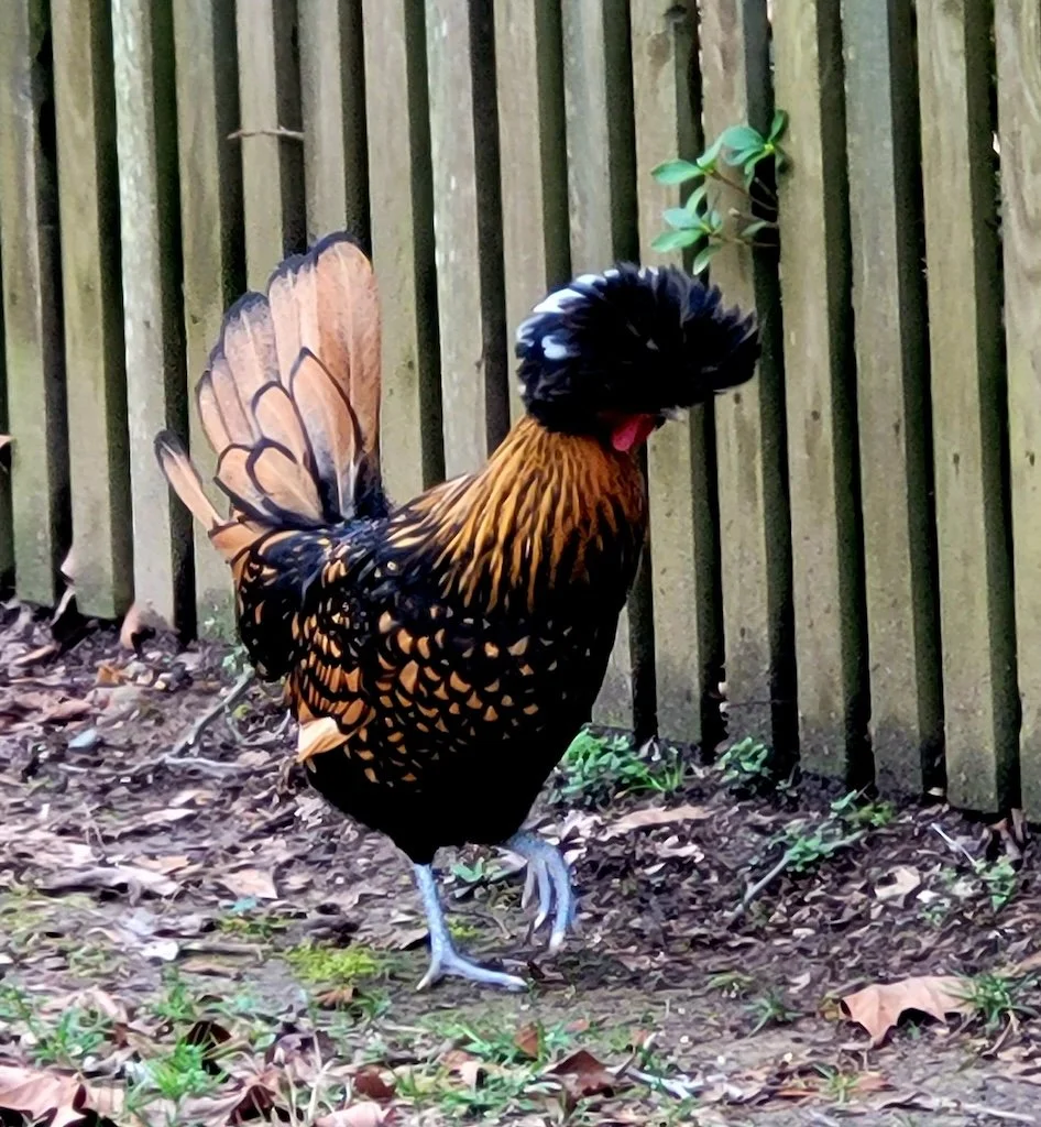 Tune Into Your Intuition (#244)