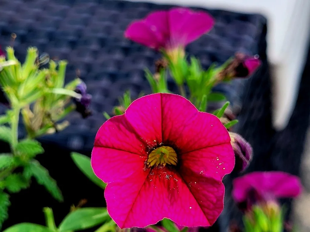 10 Gratitude Habits that Will Drastically Improve Your Life(#325)