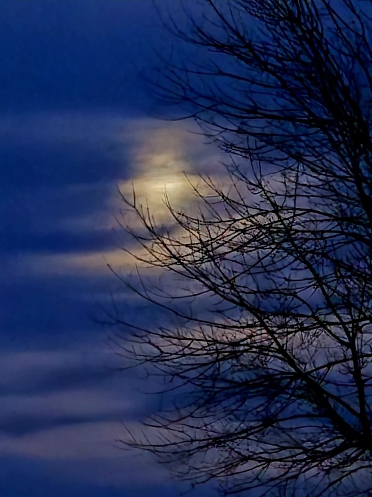 You Don’t Want to Fit In—You Want to Belong (#333)