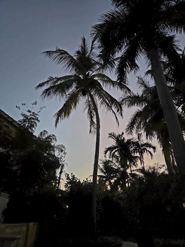 Part One/ When People Become Replaceable (#336)