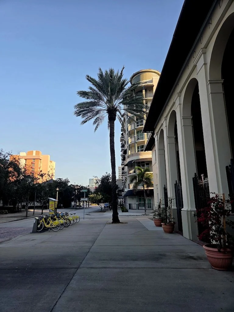 Part Two/ When Children Become Collateral (#337)