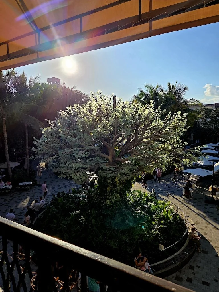 The “Two-Minute Rule” and Other Tiny Habits That Save Hours (#341)