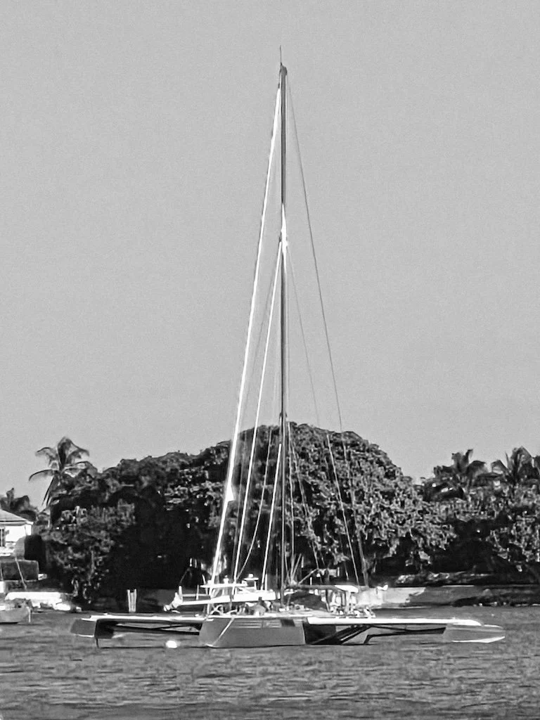 Why Do We Focus on the Negative? (And How to Break the Cycle) (#342)