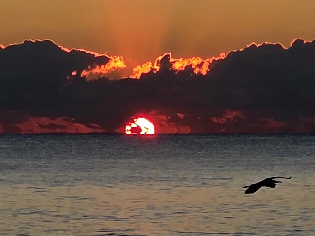 How to Practice Gratitude Without Turning Into a Hallmark Card (#353)